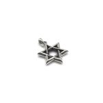 Chrome Hearts Star Of David Necklace​